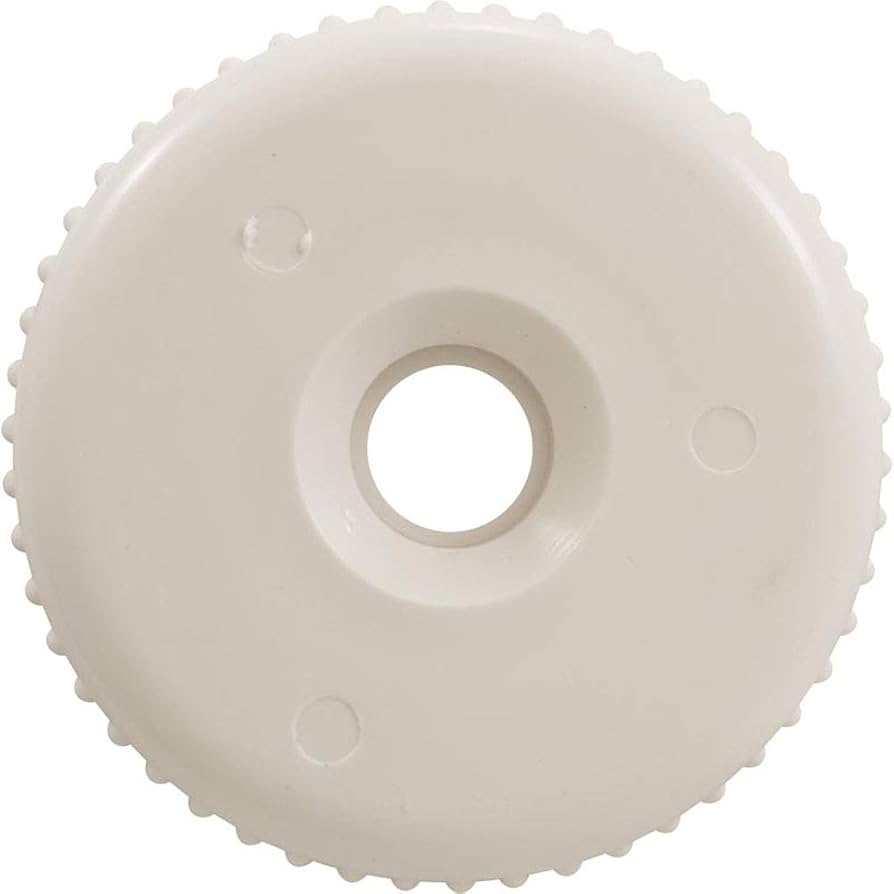 Amazon.com: Waterway Plastics Cap, WW Top Access Diverter